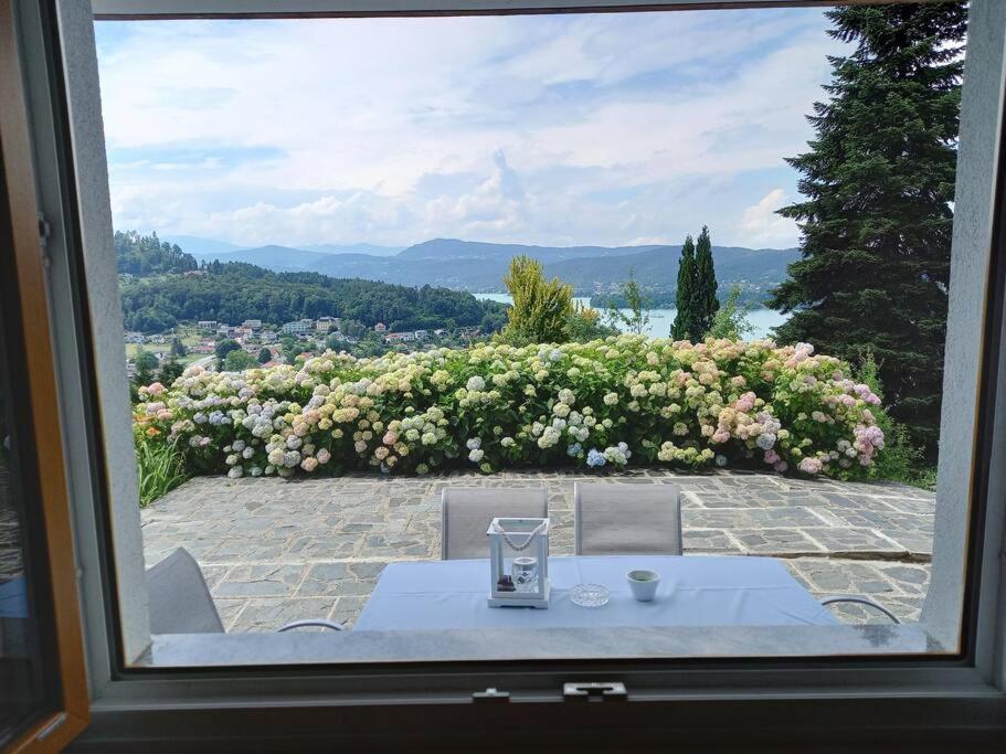 Haus Sonnenhang +seeblick+pool Apartment Reifnitz