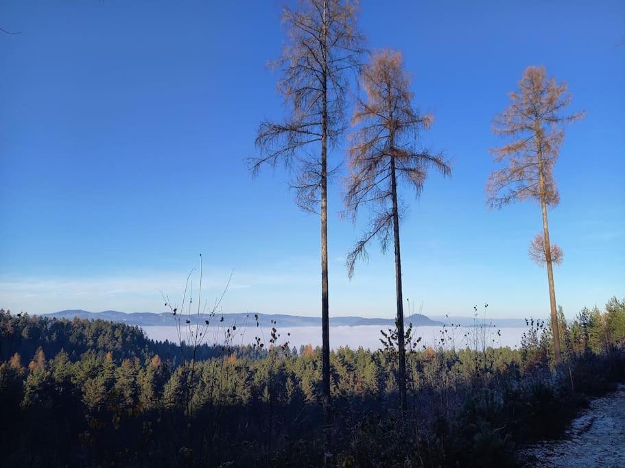 Haus Sonnenhang +seeblick+pool Reifnitz