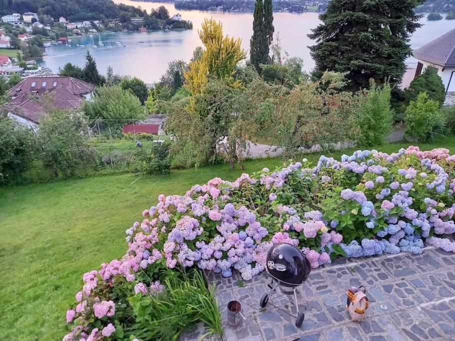 Haus Sonnenhang +seeblick+pool Reifnitz